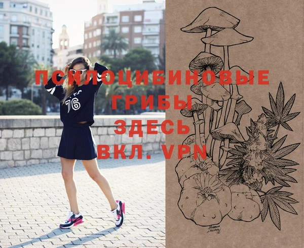 дурь Медвежьегорск