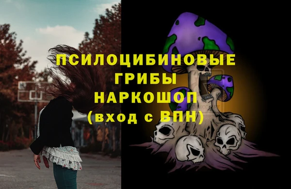спайс Медногорск